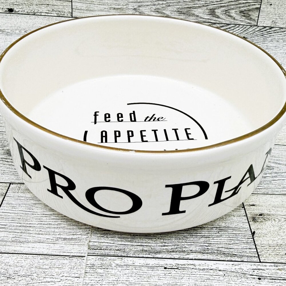 Pfaltzgraff Pro Plan Gold Trimmed Pet Dog Food Bowl
